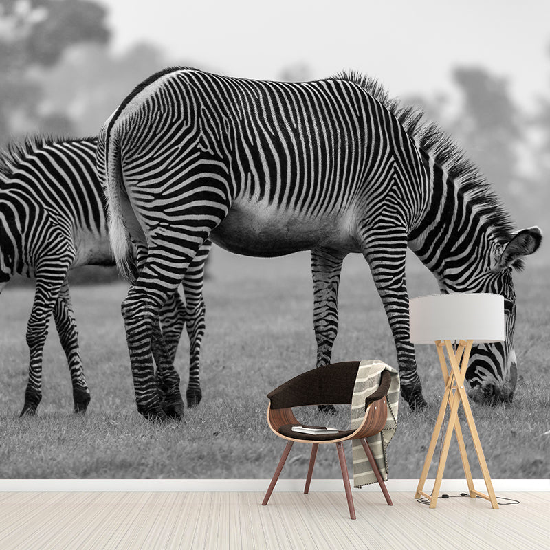 Contemporary Zebra Wall Mural Black and White Decorative Wall Covering for Living Room