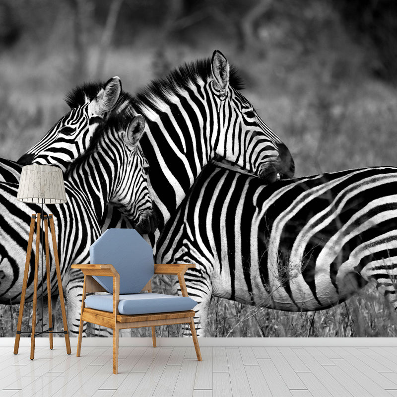Contemporary Zebra Wall Mural Black and White Decorative Wall Covering for Living Room