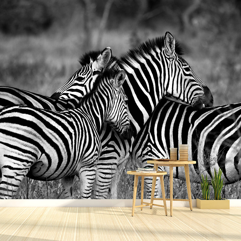 Contemporary Zebra Wall Mural Black and White Decorative Wall Covering for Living Room