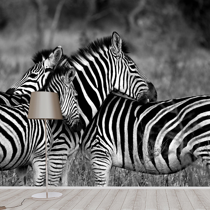 Contemporary Zebra Wall Mural Black and White Decorative Wall Covering for Living Room