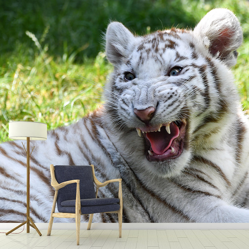 Photography Modern White Tiger Mural Mildew Resistant Dining Room Wall Decor