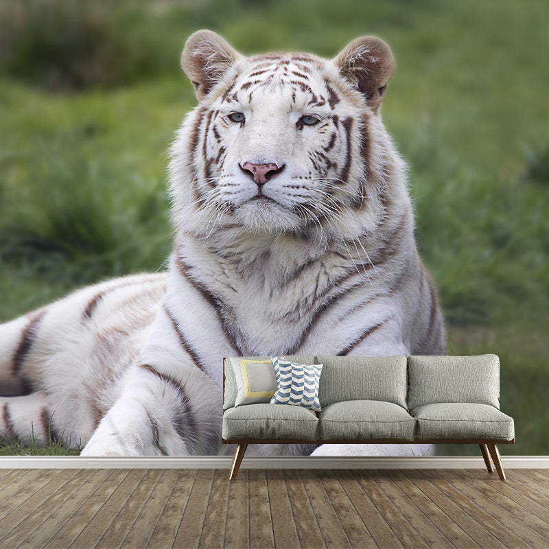 Photography Modern White Tiger Mural Mildew Resistant Dining Room Wall Decor