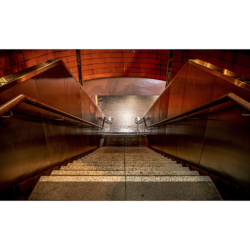 Photography Style Stairs Mural Decal Modern Mildew Resistant for Living Room