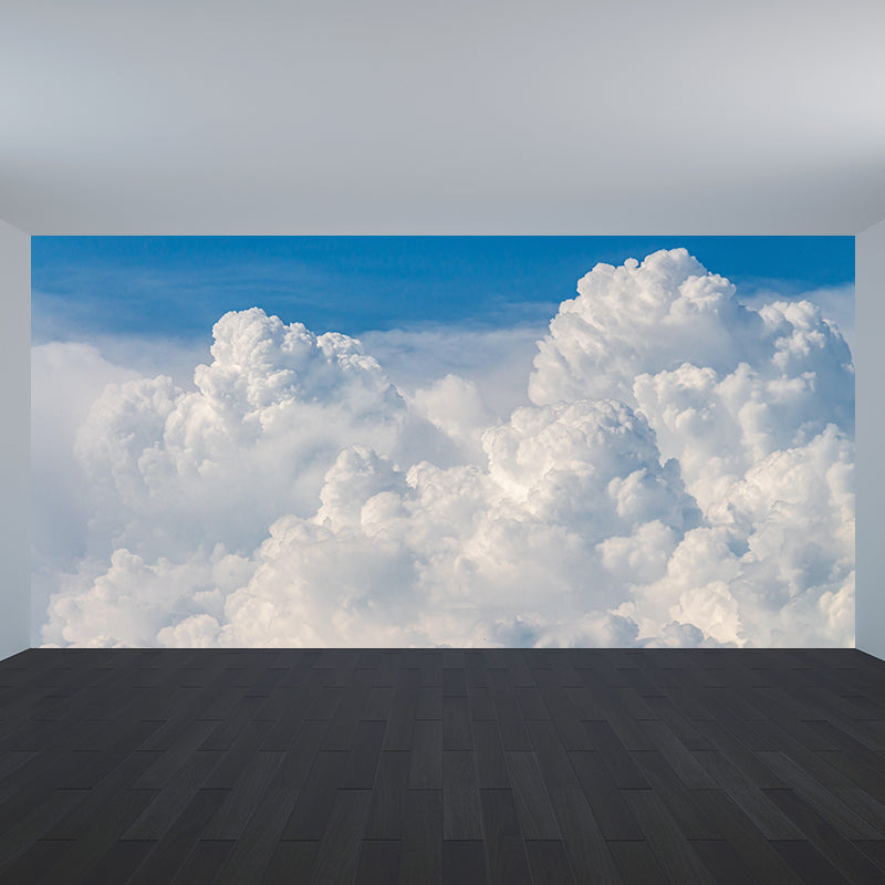 Photography Modern Style Cloud Mural Decal Mildew Resistant for Dining Room