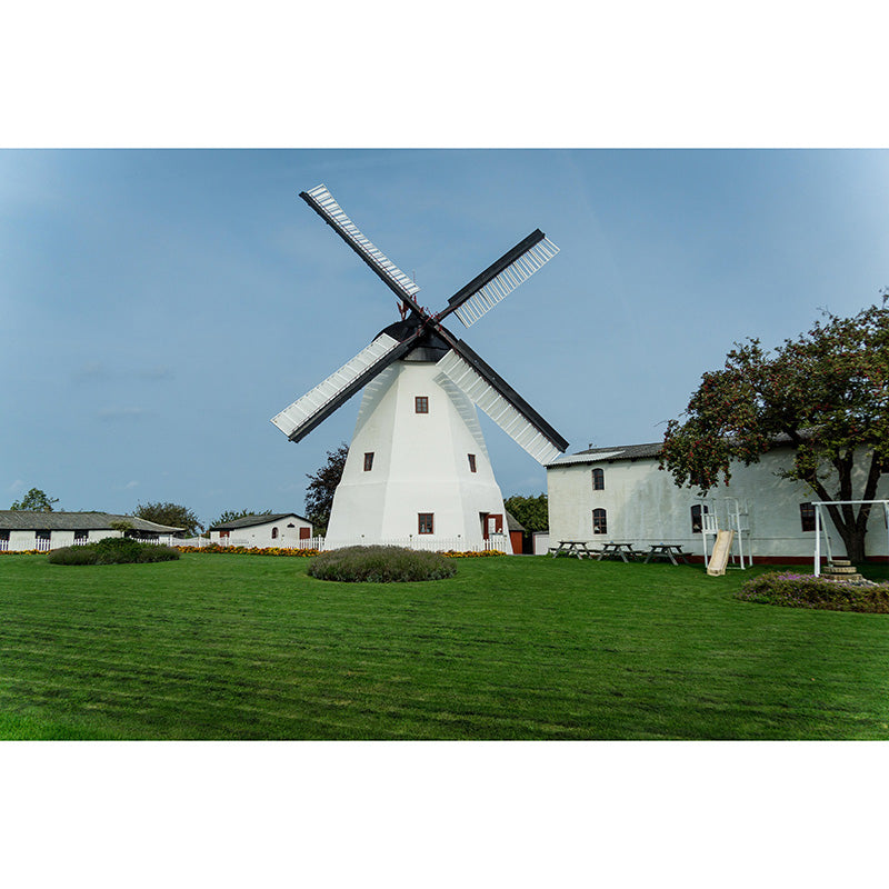 Photography Modern Mural Wallpaper with Windmill Landscape for Decoration