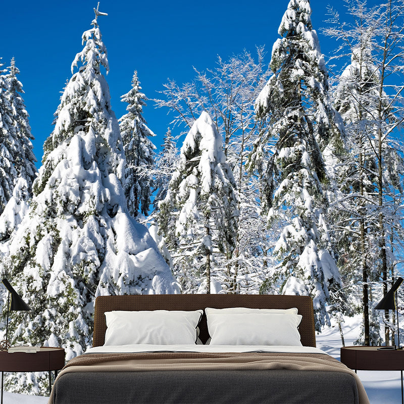 Photography Mildew Resistant Forest Mural Eco-friendly Modern Wall Covering for Adults Room