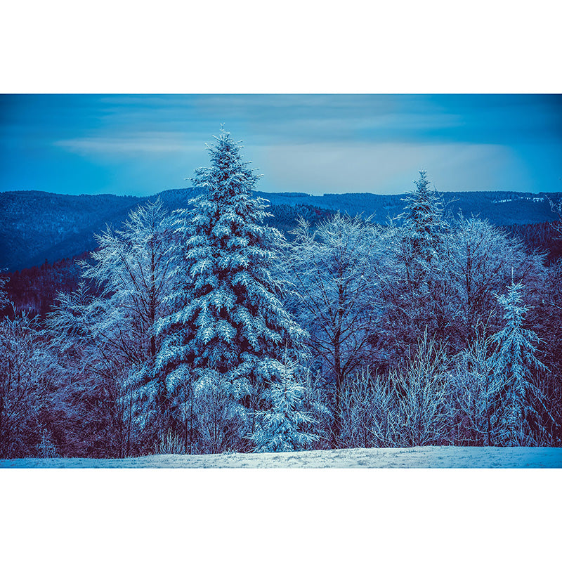 Photography Mildew Resistant Forest Mural Eco-friendly Modern Wall Covering for Adults Room