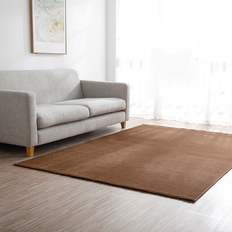 Brown Area Carpet Pure Color Polyester Area Rug Easy Care Washable Rug for Living Room
