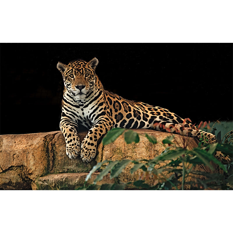 Lifelike Leopard Animal Wall Covering for Bedroom Living Room ,Waterproof