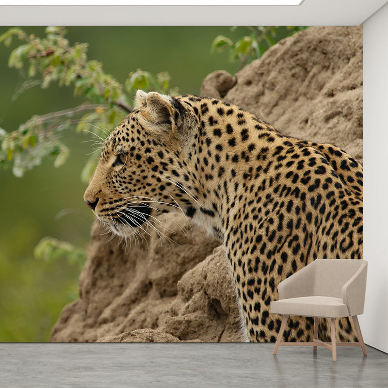 Creative Leopard Animal Wallpaper Mural Full Size Bedroom Decor Design