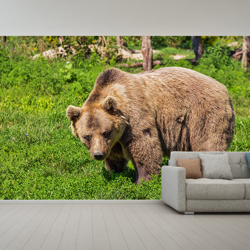 Cute Bear Wall Decals Water Resistant Wall Art for Kid's Bedroom, Made to Measure