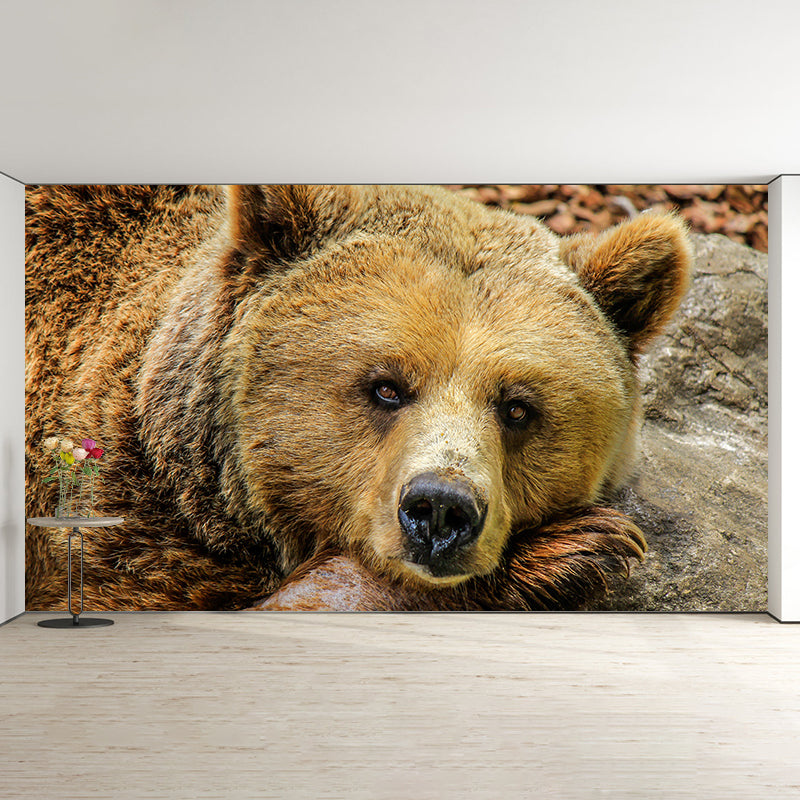 Cute Bear Wall Decals Water Resistant Wall Art for Kid's Bedroom, Made to Measure