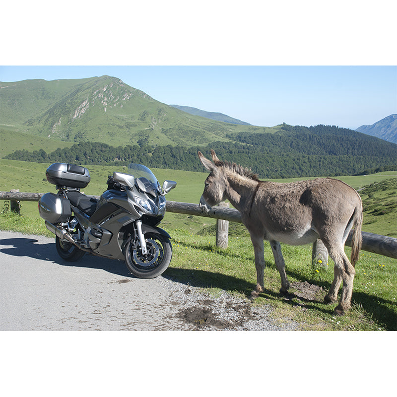 Unique Design Motorcycle Mural Wallpaper Contemporary Wall Covering for Home Decoration