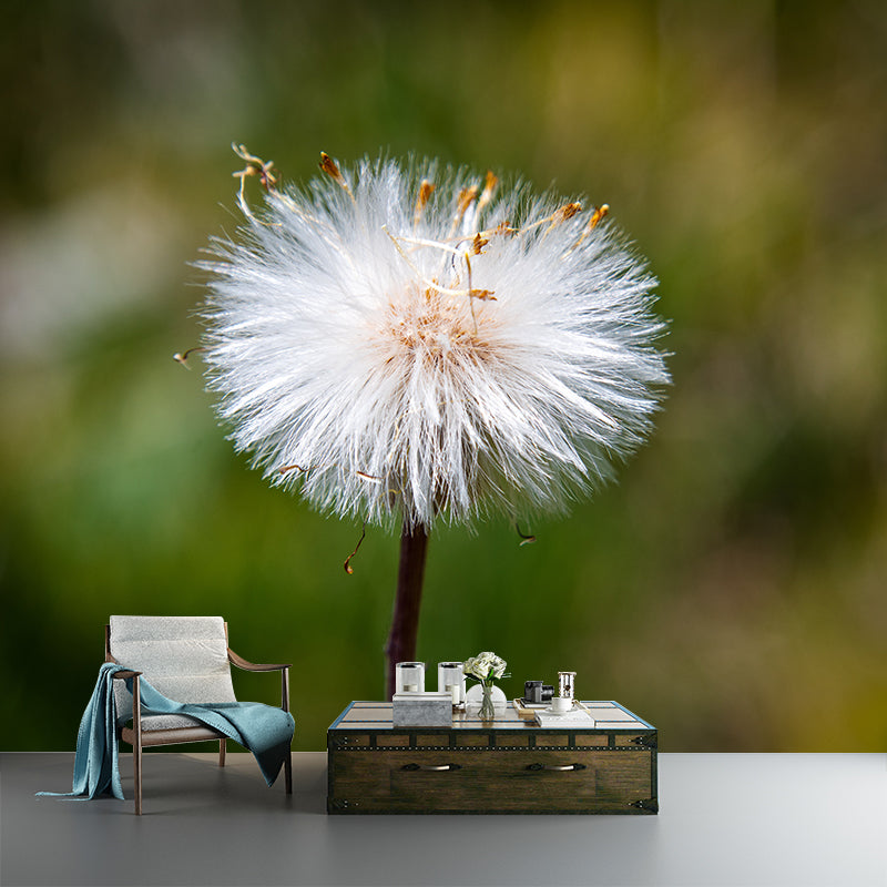 White Dandelion Plant Mural Wallpaper Moisture-Resistant Wall Covering for Home