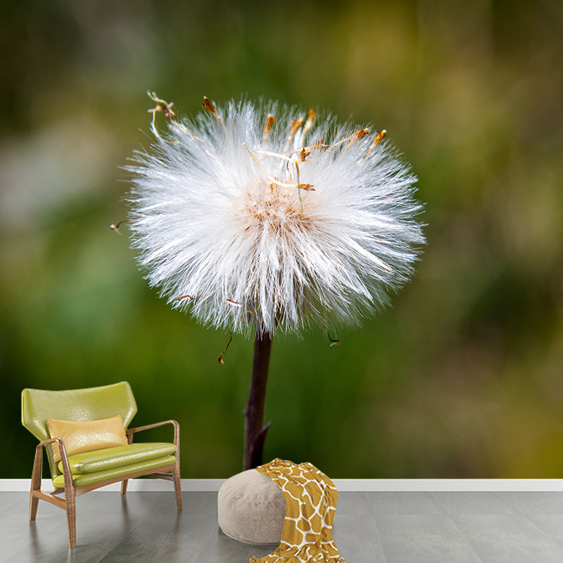 White Dandelion Plant Mural Wallpaper Moisture-Resistant Wall Covering for Home