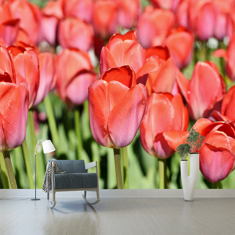 Kleurrijk Tulp Bloem Muurschildering Behang Minimalistisch Muurdecor, Aangepaste Grootte Beschikbaar