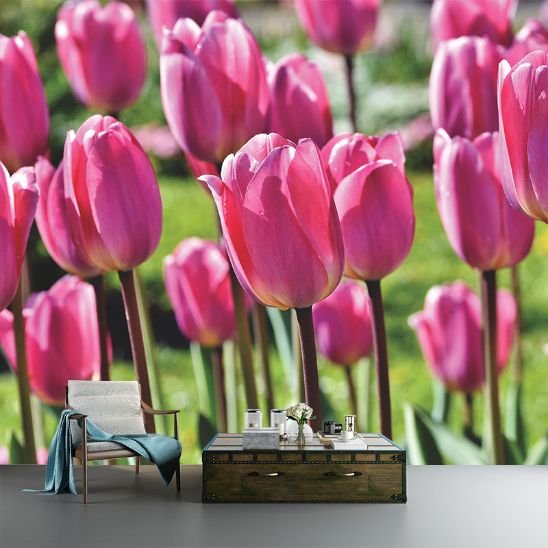 Kleurrijk Tulp Bloem Muurschildering Behang Minimalistisch Muurdecor, Aangepaste Grootte Beschikbaar