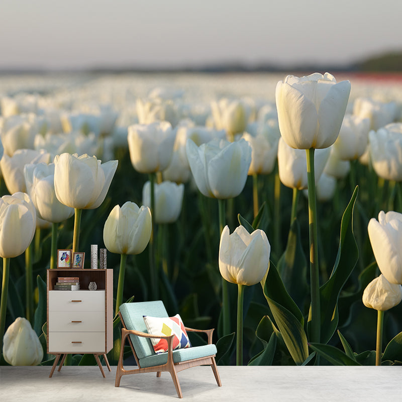 Kleurrijk Tulp Bloem Muurschildering Behang Minimalistisch Muurdecor, Aangepaste Grootte Beschikbaar