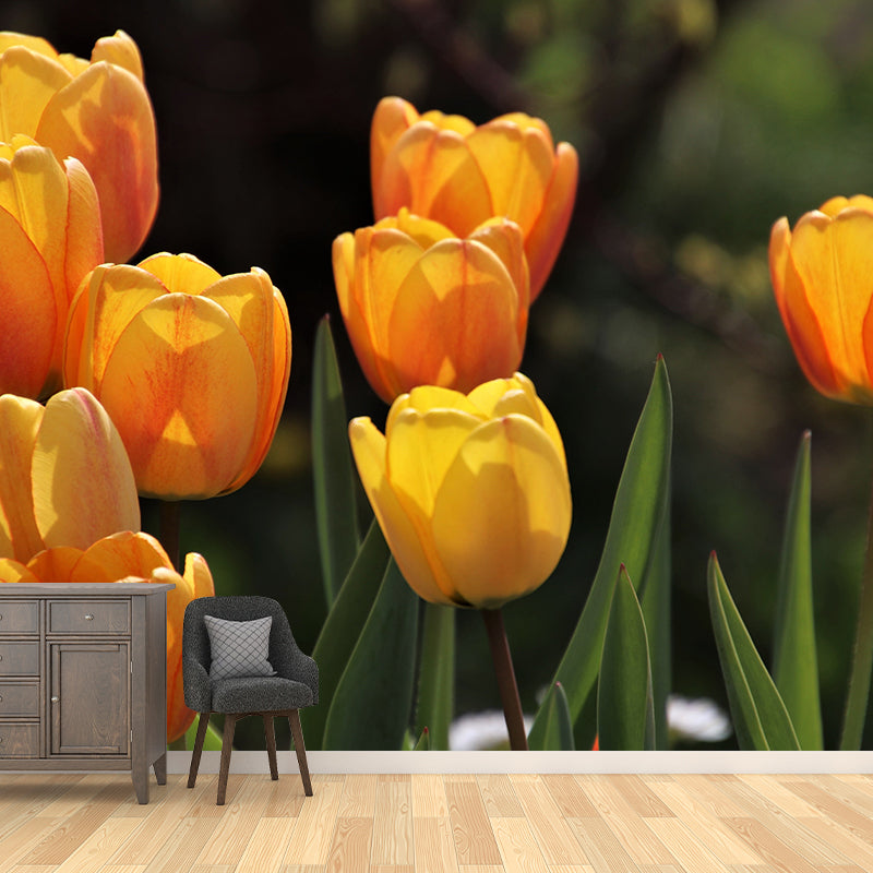 Kleurrijk Tulp Bloem Muurschildering Behang Minimalistisch Muurdecor, Aangepaste Grootte Beschikbaar