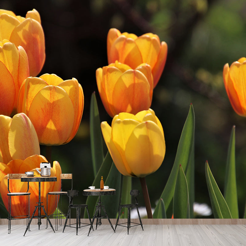 Kleurrijk Tulp Bloem Muurschildering Behang Minimalistisch Muurdecor, Aangepaste Grootte Beschikbaar