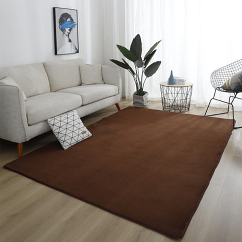 Simplicity Living Room Carpet Purple Pure Color Indoor Rug Polyester Washable Area Carpet