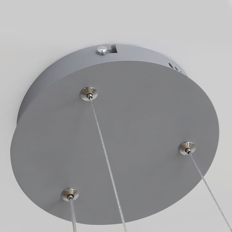 2 Color Optional Twisting Metal Pendant Lamp Simplicity LED Chandelier Light for Office