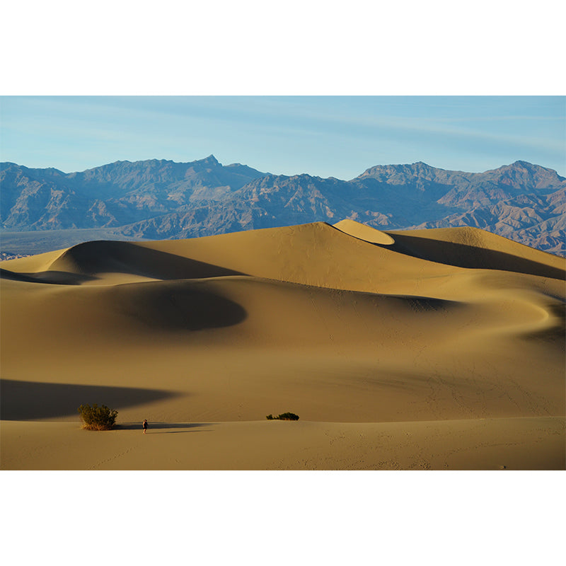 Photography Desert Scenery in Yellow Mural Wallpaper for Home Decor, Full Size