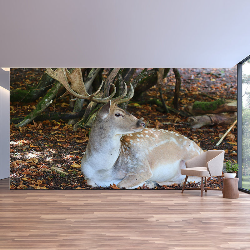 Contemporary Mural with Sika Deer Pattern Photography Decorative Wall Art for Girls' Bedroom