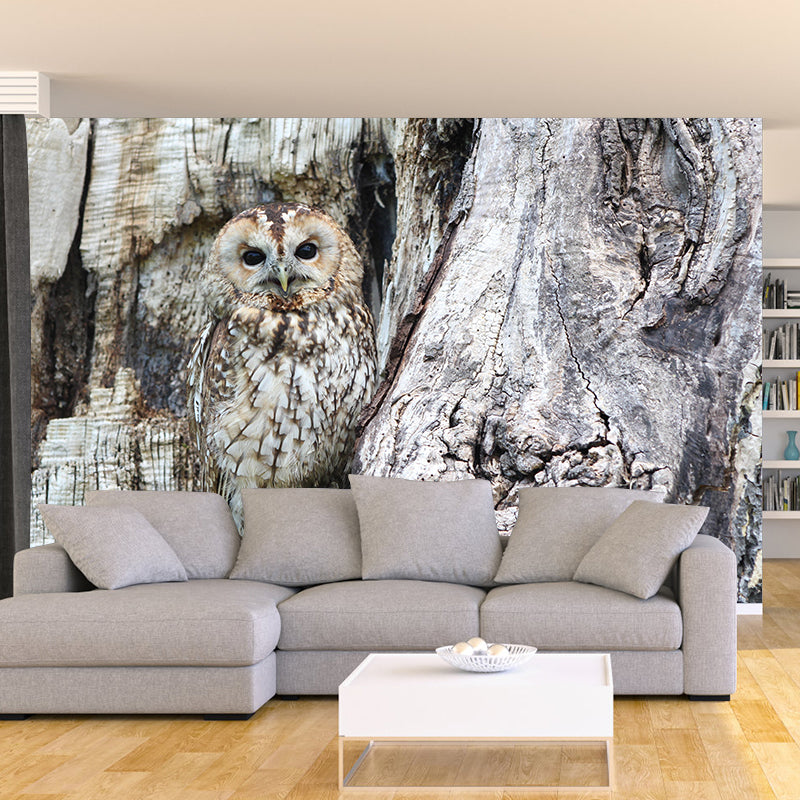 Eigentijdse stijl uil muurschildering zachte kleurenfotografie horizontale muur kunst voor woondecoratie