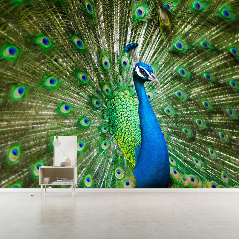 Peinture murale paon de Style Tropical avec motif de queue étalée, Art mural de couleur claire pour la décoration
