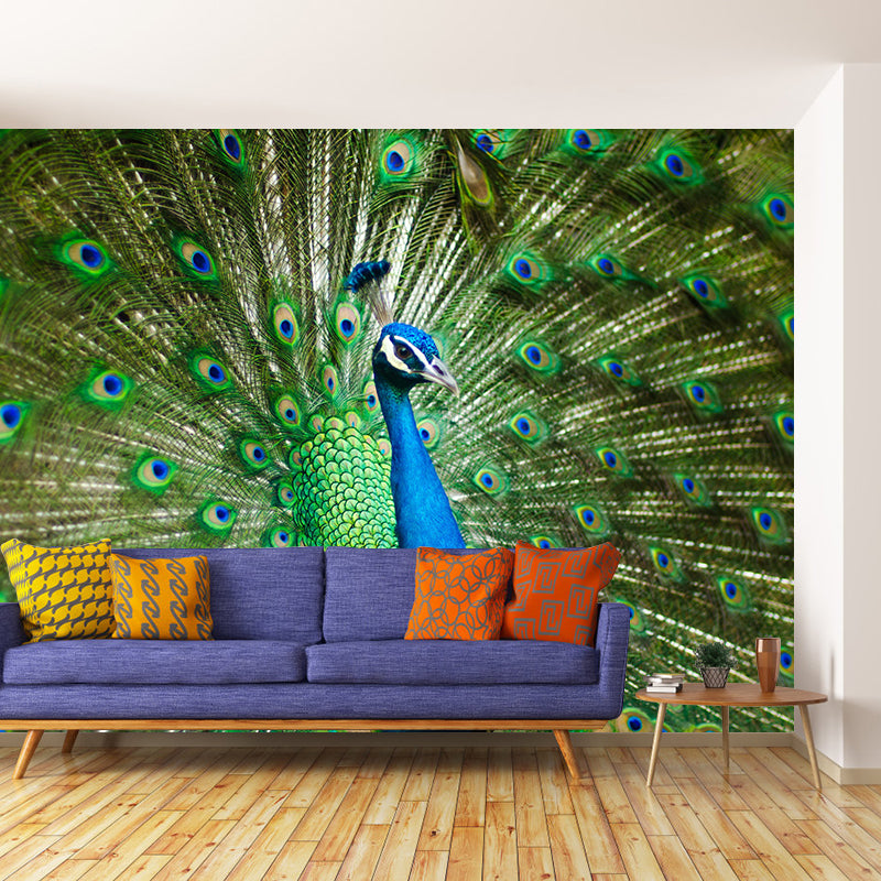 Tropical Style Peacock Mural with spreading tail Pattern Light Color Wall Art for Decoration