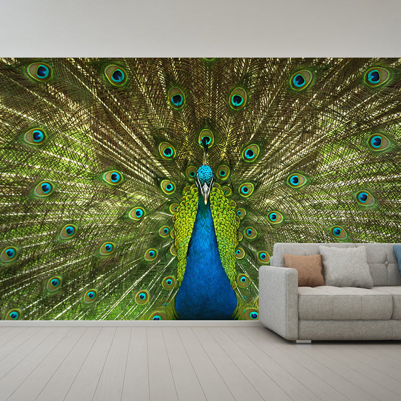 Peinture murale paon de Style Tropical avec motif de queue étalée, Art mural de couleur claire pour la décoration
