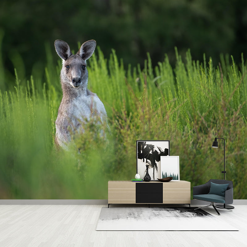 Strong Kangaroo Mural Photography Mildew Resistant Boys Room Mural Wall Art
