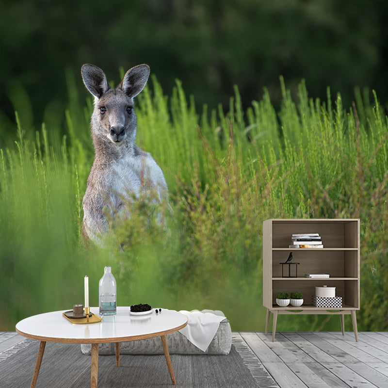 Strong Kangaroo Mural Photography Mildew Resistant Boys Room Mural Wall Art
