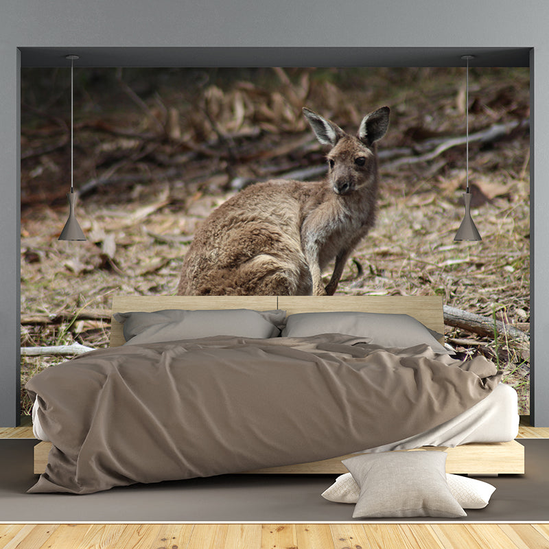 Strong Kangaroo Mural Photography Mildew Resistant Boys Room Mural Wall Art