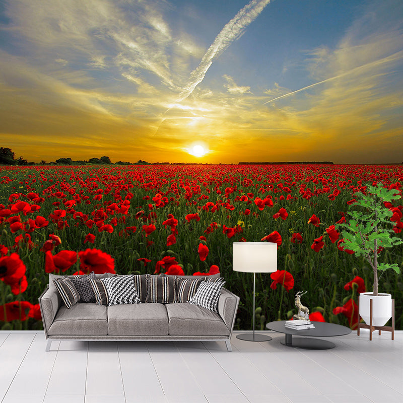 Full Size Photography Modern Mural Decal with Blossoming Poppy for Living Room