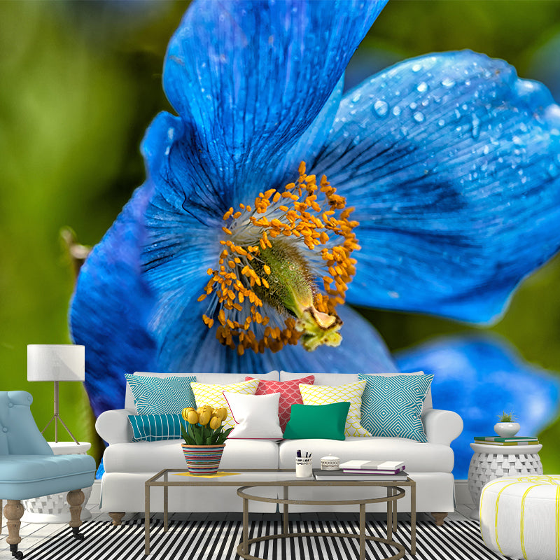 Full Size Photography Modern Mural Decal with Blossoming Poppy for Living Room