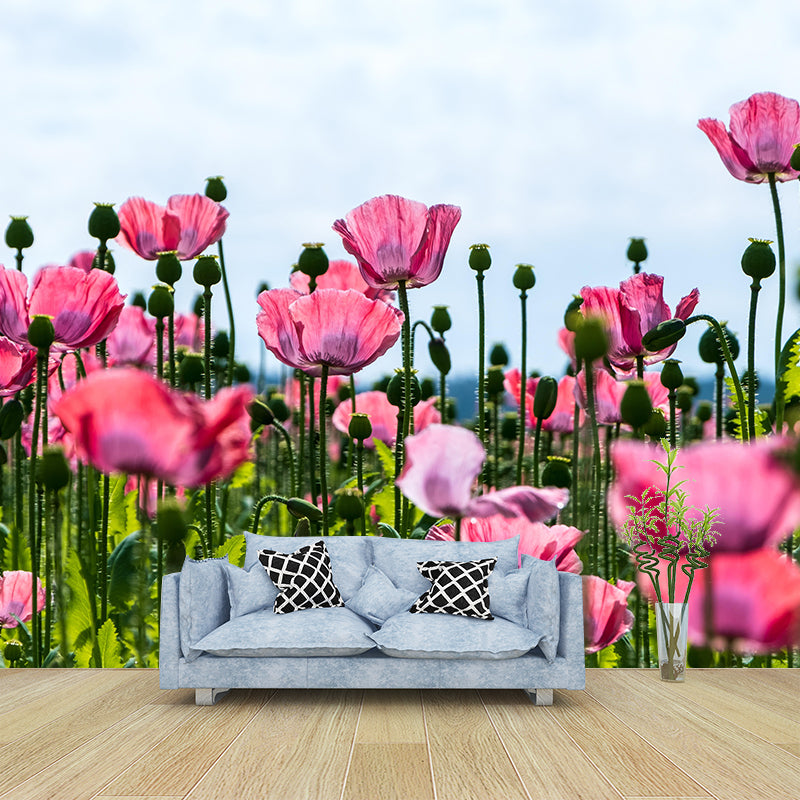 Full Size Photography Modern Mural Decal with Blossoming Poppy for Living Room