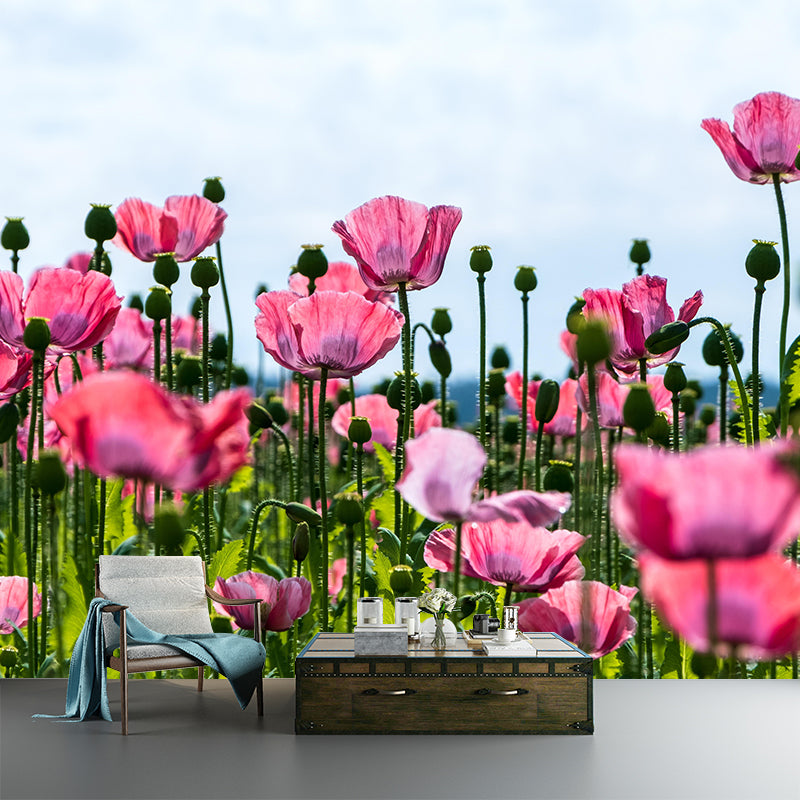 Full Size Photography Modern Mural Decal with Blossoming Poppy for Living Room
