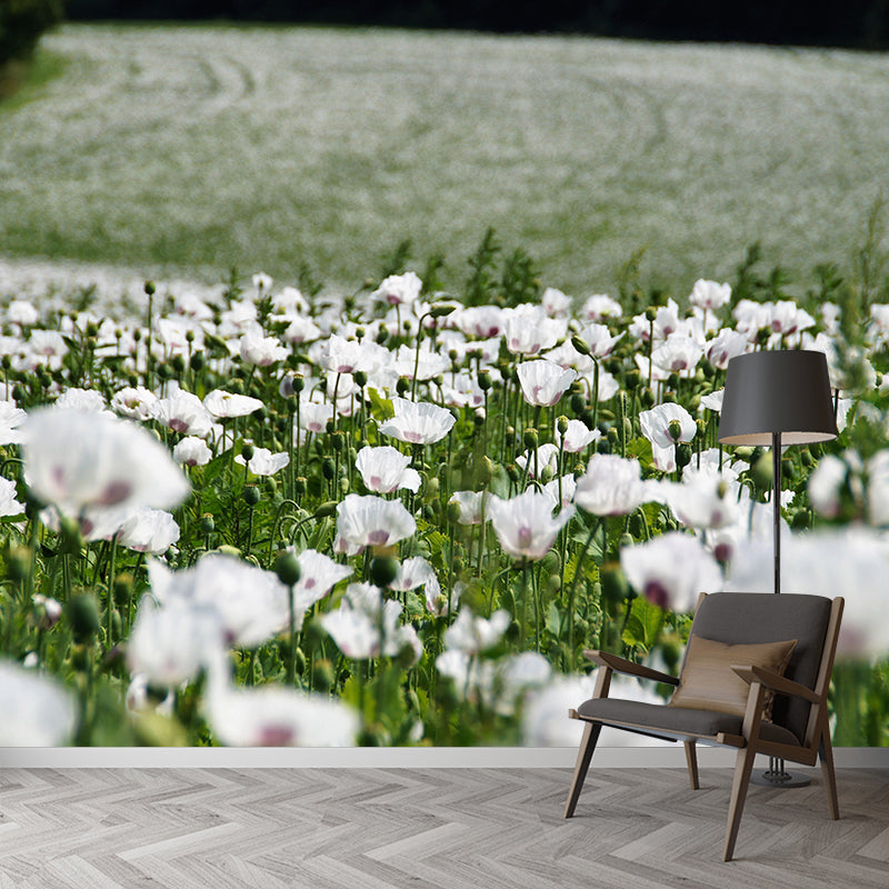 Full Size Photography Modern Mural Decal with Blossoming Poppy for Living Room