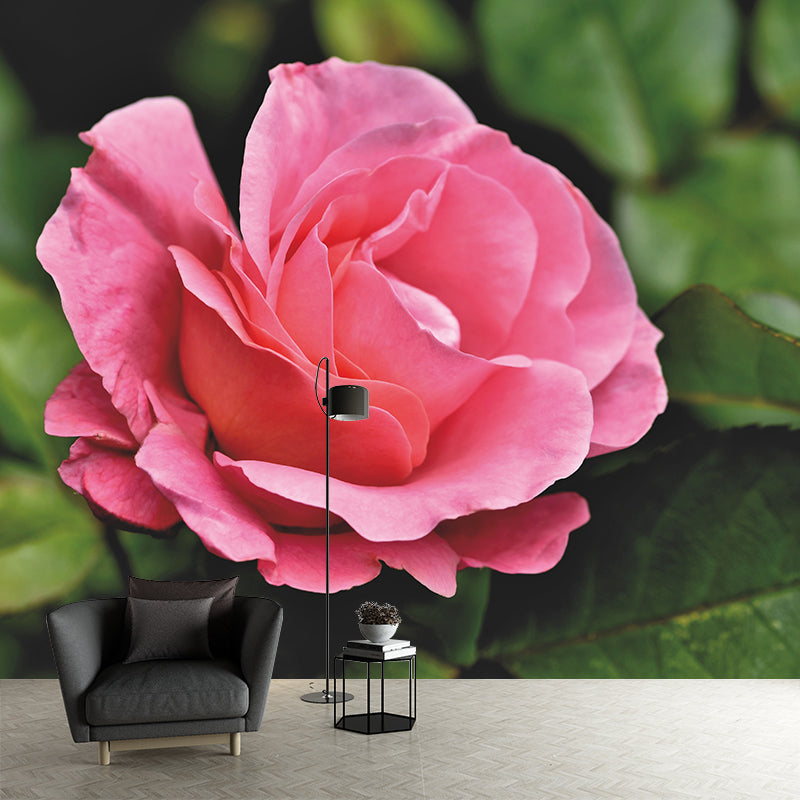 Contemporary Rose Flower Wall Mural Stain Resistant Wall Art for Living Room