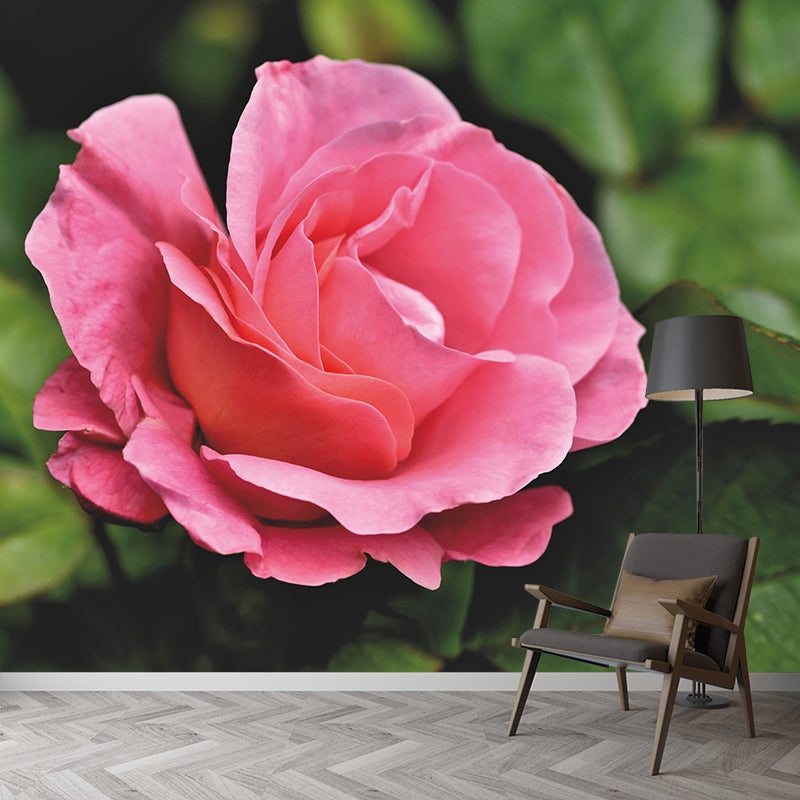 Contemporary Rose Flower Wall Mural Stain Resistant Wall Art for Living Room