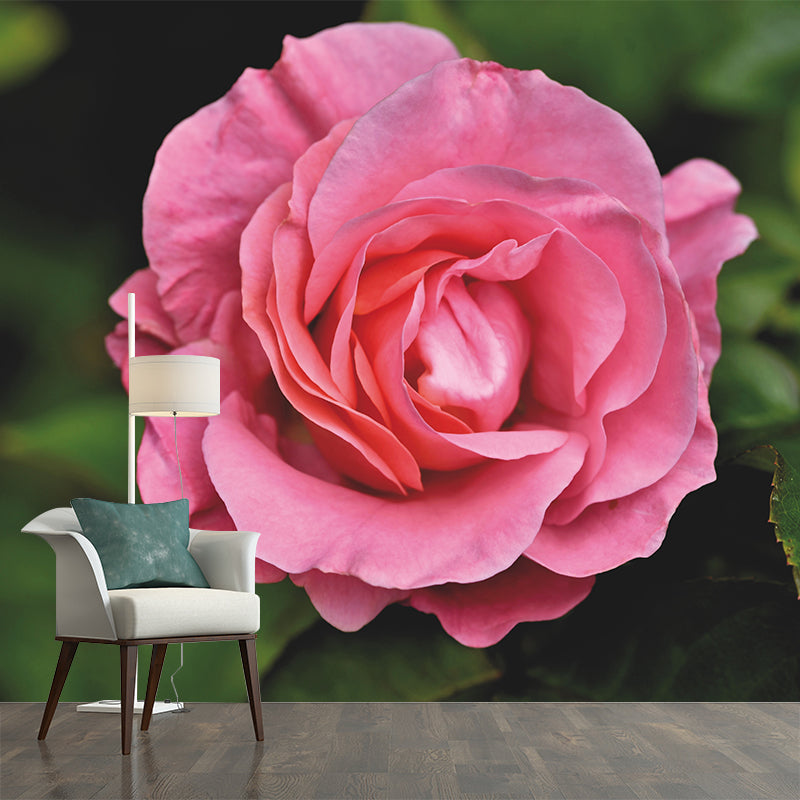 Contemporary Rose Flower Wall Mural Stain Resistant Wall Art for Living Room