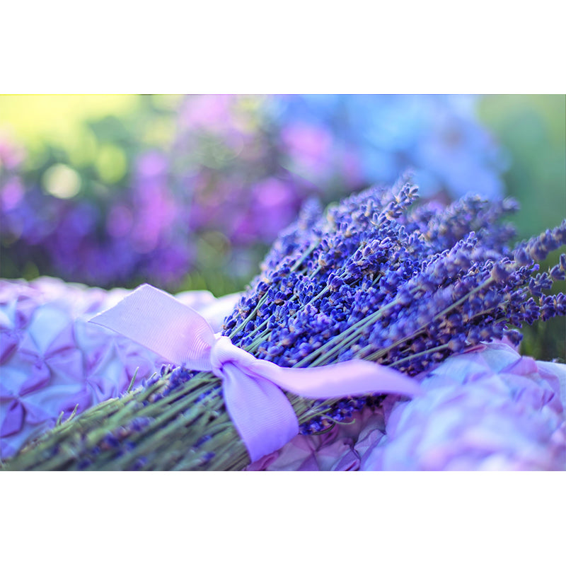 Contemporary Photography Beautiful Lavender Mural in Purple for Home Decor