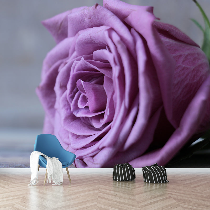 Blooming Rose Wall Mural Decal for Home Decoration Washable, Made to Measure