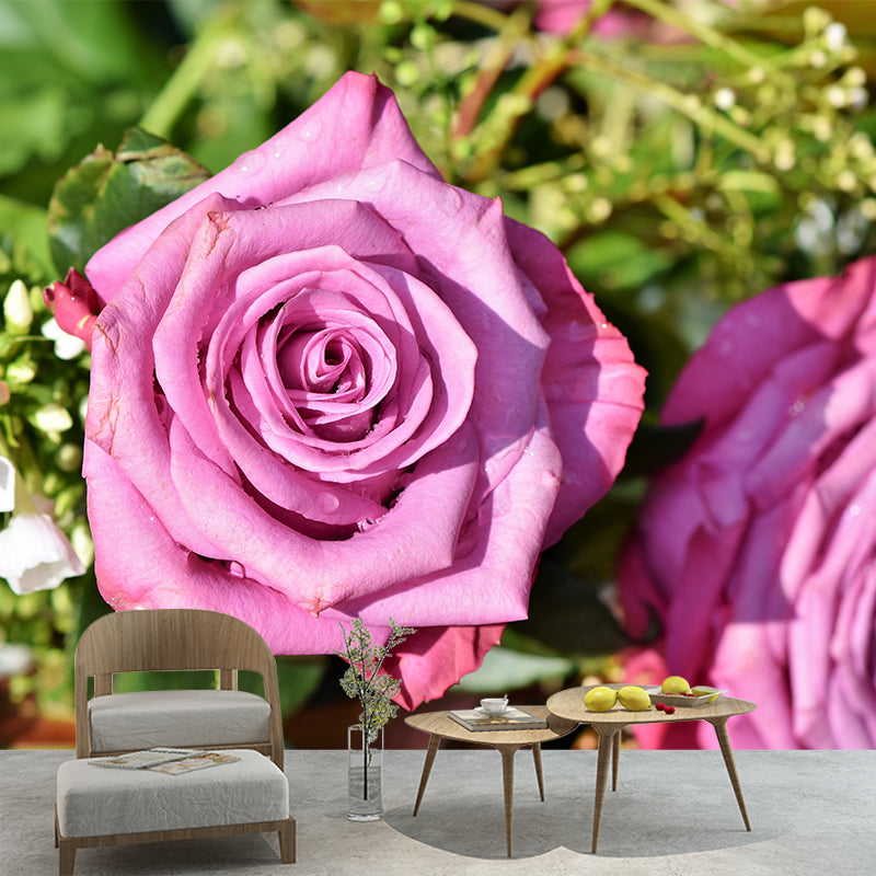 Blooming Rose Wall Mural Decal for Home Decoration Washable, Made to Measure