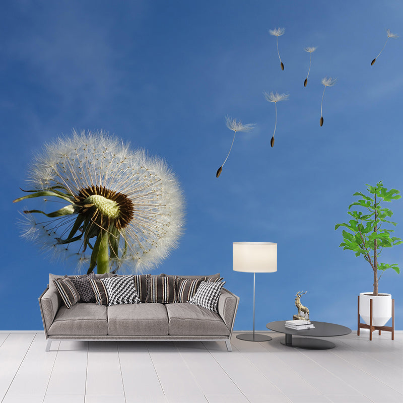 Photographie contemporaine, pissenlit en fleurs, peinture murale, couleur douce, pour la décoration de la maison