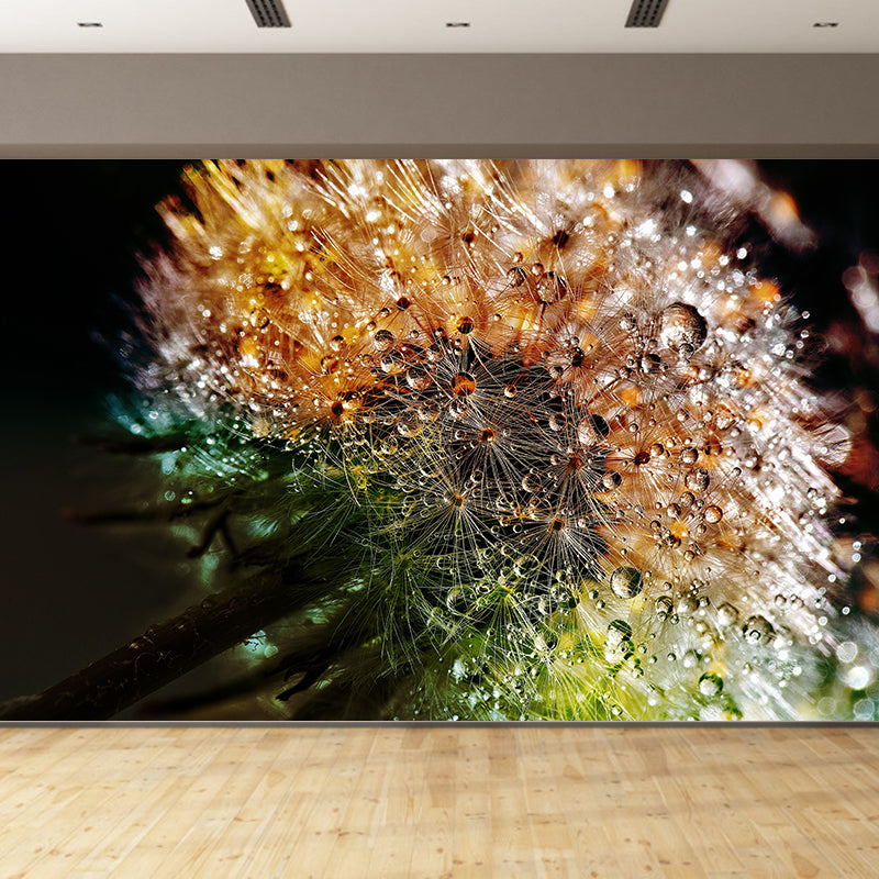 Photographie contemporaine, pissenlit en fleurs, peinture murale, couleur douce, pour la décoration de la maison