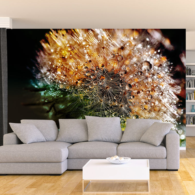 Photographie contemporaine, pissenlit en fleurs, peinture murale, couleur douce, pour la décoration de la maison