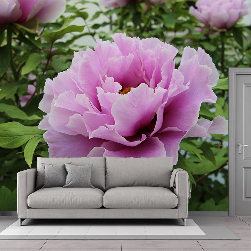 Full Size Photography Modern Mural Decal with Blossoming Peony for Living Room